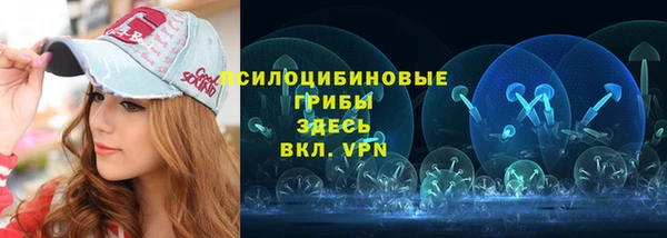 спайс Алзамай