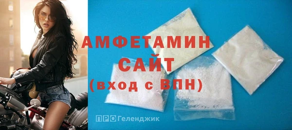 гашик Алексин