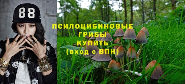 ECSTASY Алексеевка