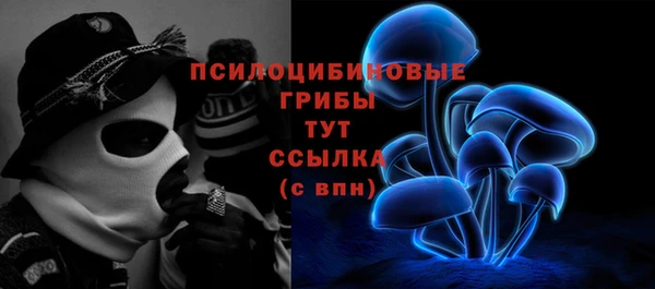 гашик Алексин