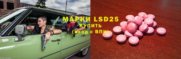 гашик Алексин
