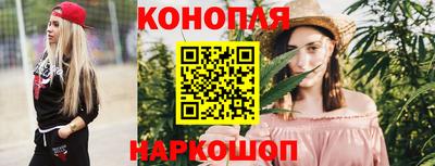 трава Камышлов