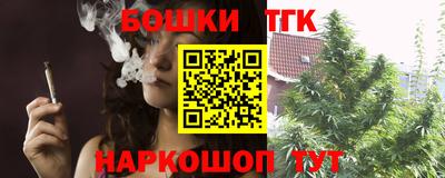 гашик Можга