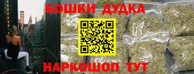 гашик Можга