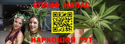 гашик Можга