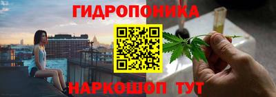твердый Моздок