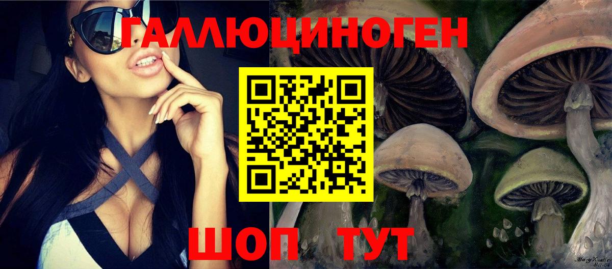 Псилоцибиновые грибы Cubensis Гуково